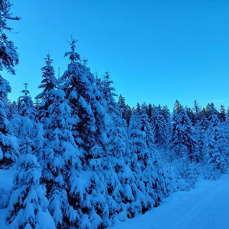 Ubytování na Lipně Černá v Pošumaví Esterno foto